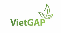 certification-1